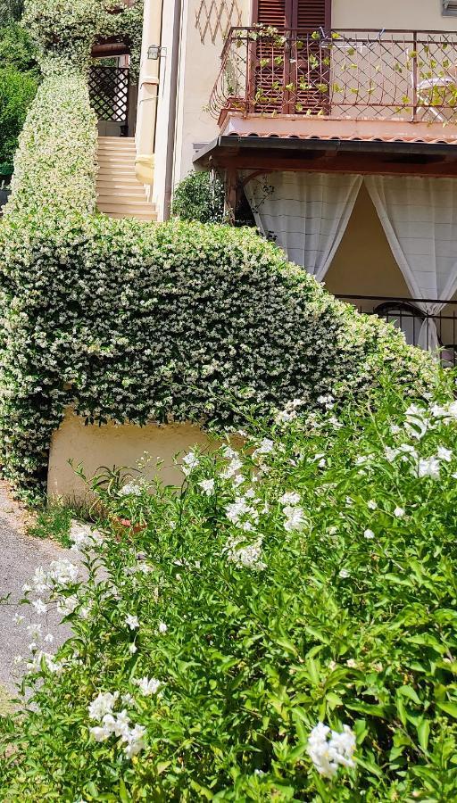 La Bouganville E Il Gelsomino Pietrasanta Exteriör bild