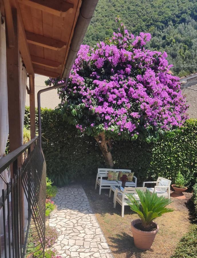 La Bouganville E Il Gelsomino Pietrasanta Exteriör bild