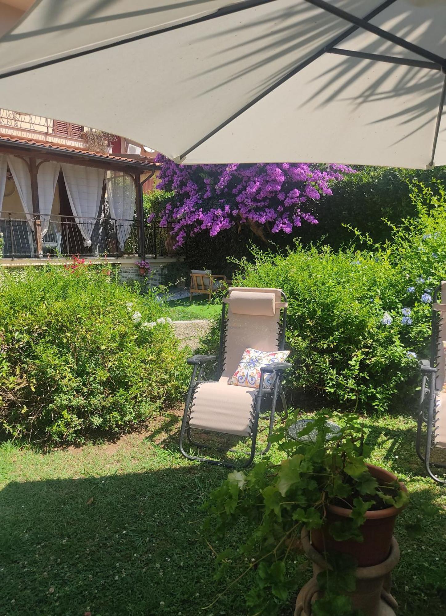 La Bouganville E Il Gelsomino Pietrasanta Exteriör bild