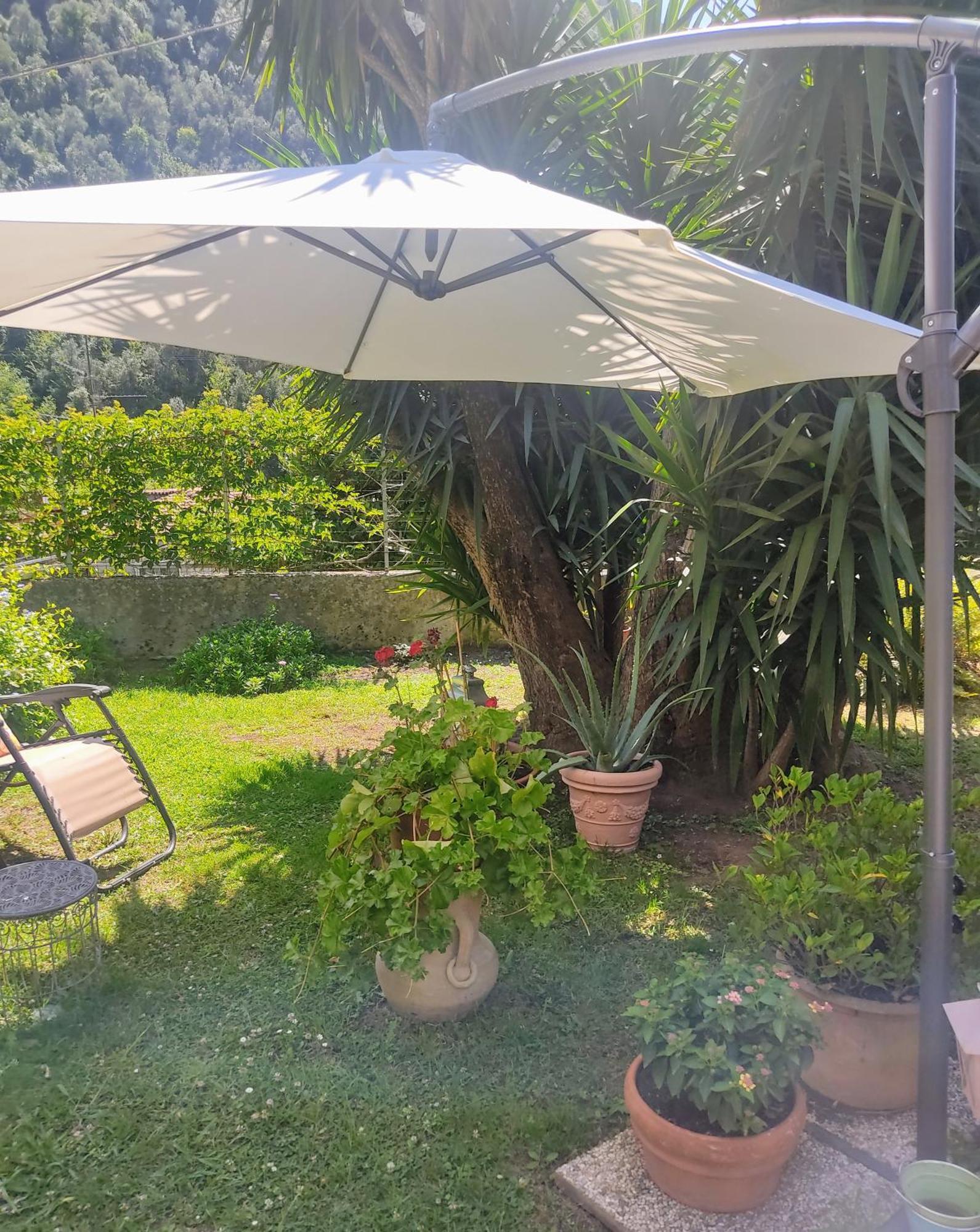 La Bouganville E Il Gelsomino Pietrasanta Exteriör bild